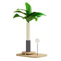 Canna coloured wooden cat scratching post with vertical pole, grab column, and food drop ball