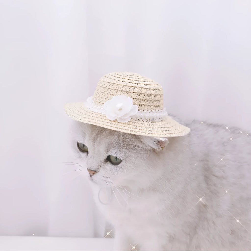 Handmade adjustable paper pet hat with bowknot for dogs and cats in cartoon design