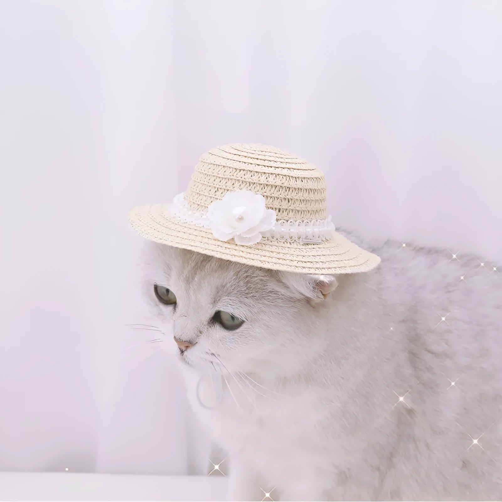 Handmade adjustable paper pet hat with bowknot for dogs and cats in cartoon design