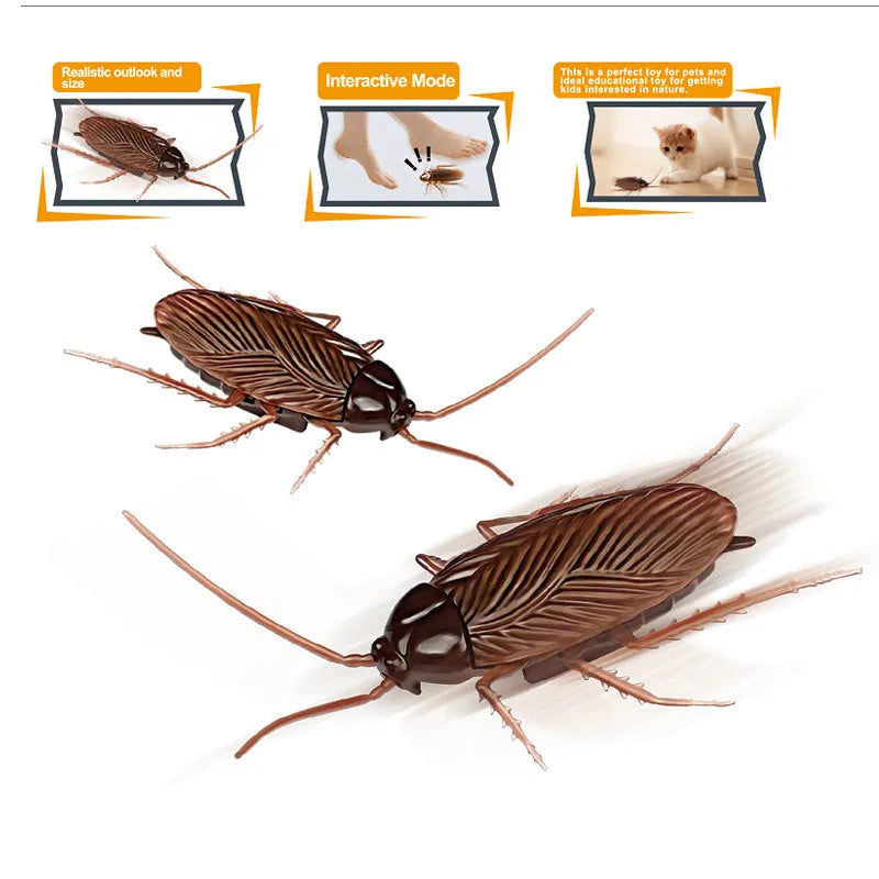 Electric vibration pet toy in choice of cockroach, tarantula, mouse, or dragonfly design.