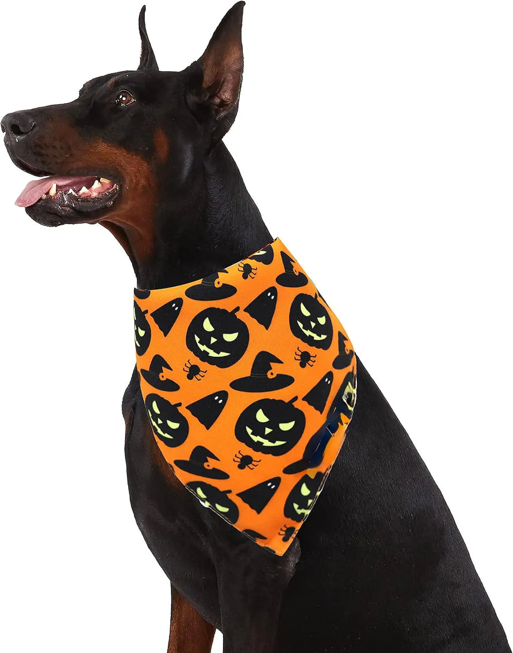 Reversible Halloween dog bandana with pumpkin and spider web patterns in black and orange colours