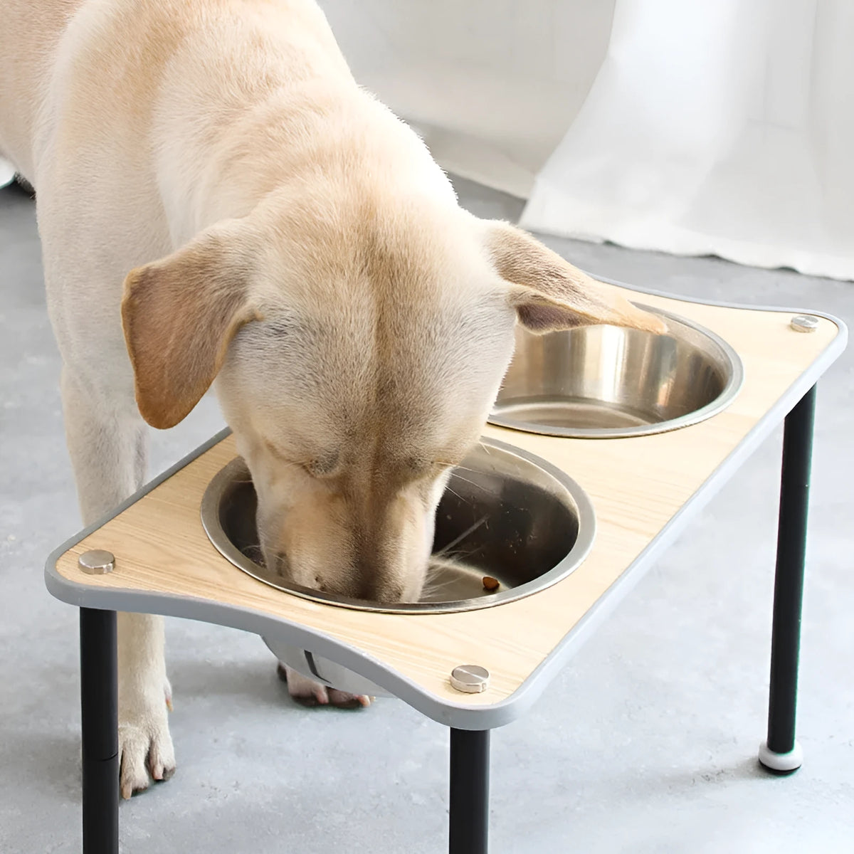 Adjustable height stainless steel dog food bowl rack with two bowls, available in black or silver