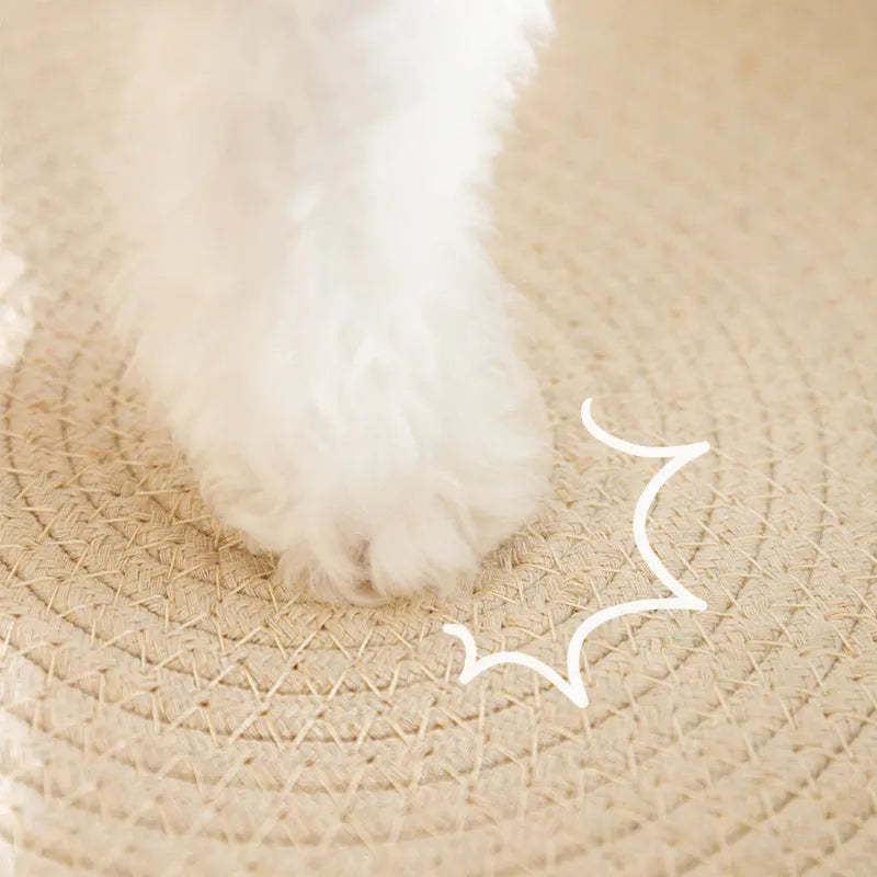 Green oval sisal cat scratching pad serving as a lounging bed with dimensions 650mm by 420mm.