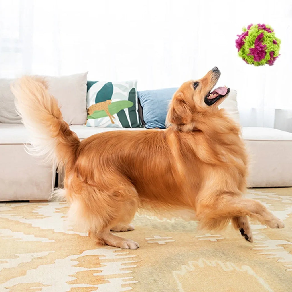 Purple plush seaweed ball dog chew toy for interactive play and teeth cleaning