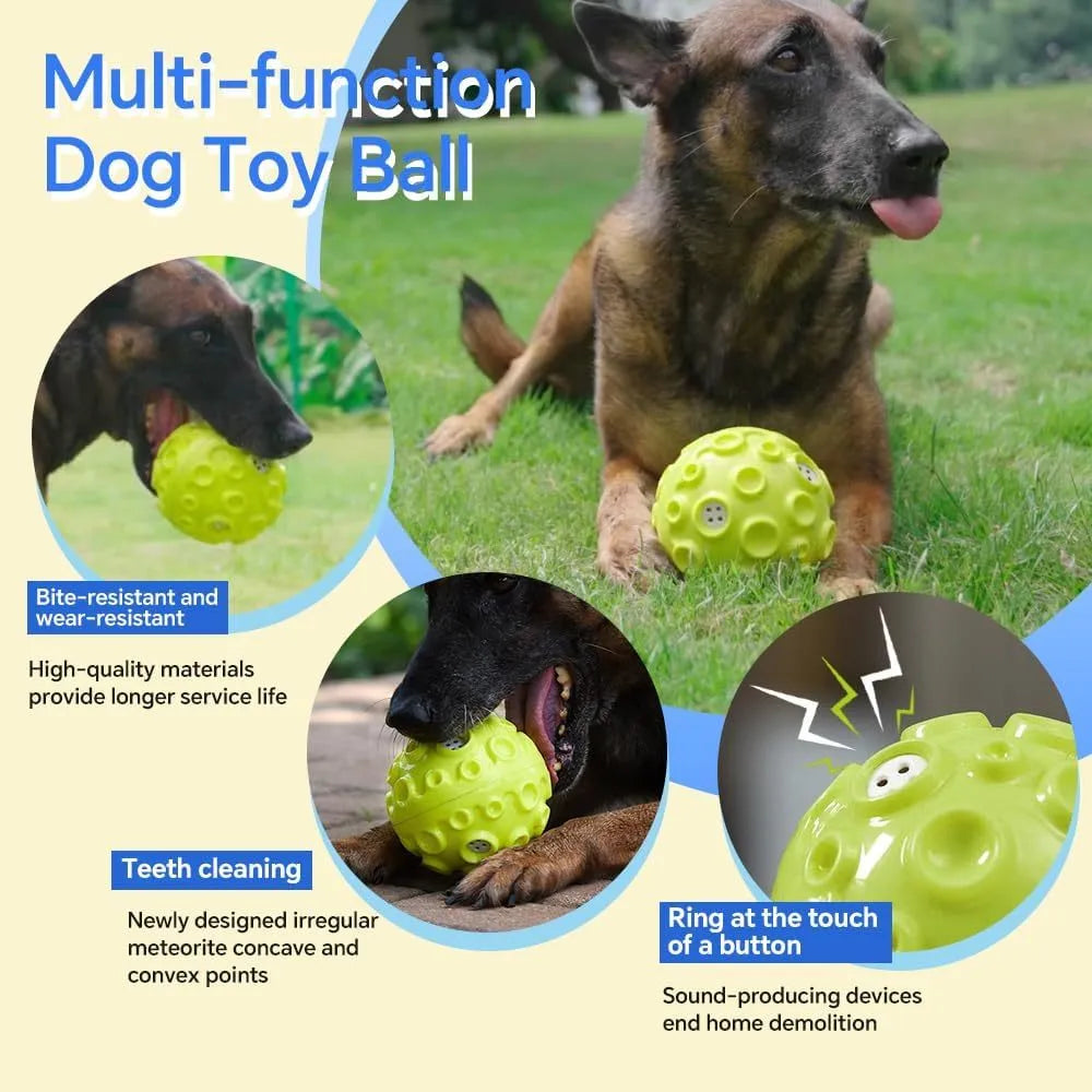 Colourful natural rubber dog toy ball with textured surface for aggressive chewers and teeth cleaning