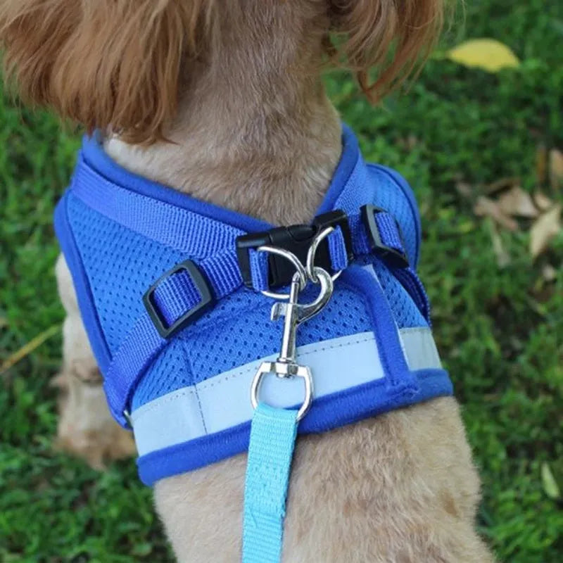 Reflective breathable polyester pet harness with 115cm leash and 1.5cm width, adjustable chest 26-55cm, grey black blue red