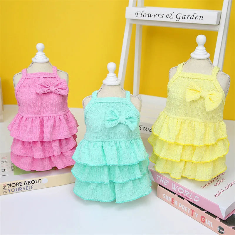 Small dog wearing polyester princess dress with layered candy skirt in teddy bichon style