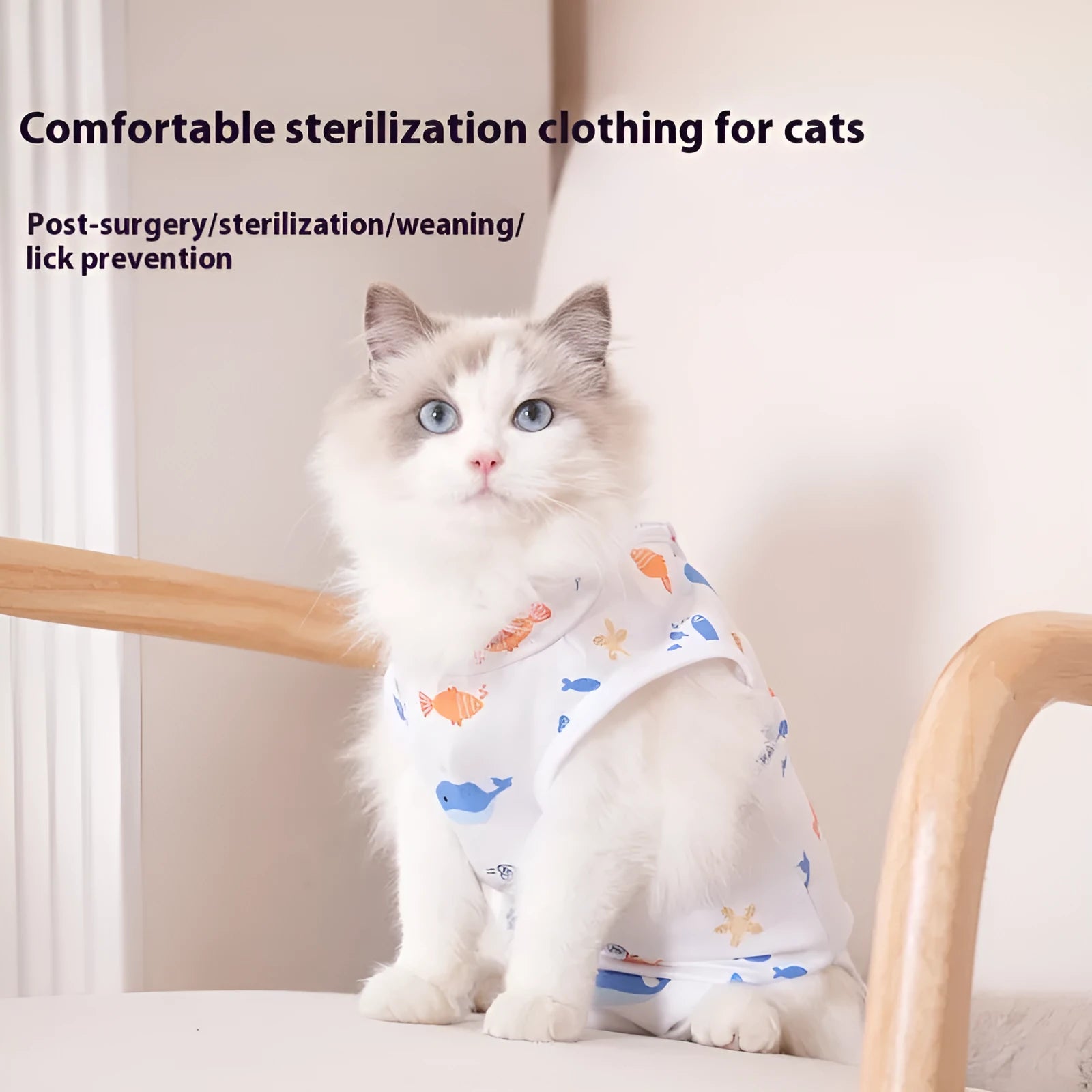 Cat wearing a printed polyester recovery suit with Velcro fastenings after sterilisation surgery.