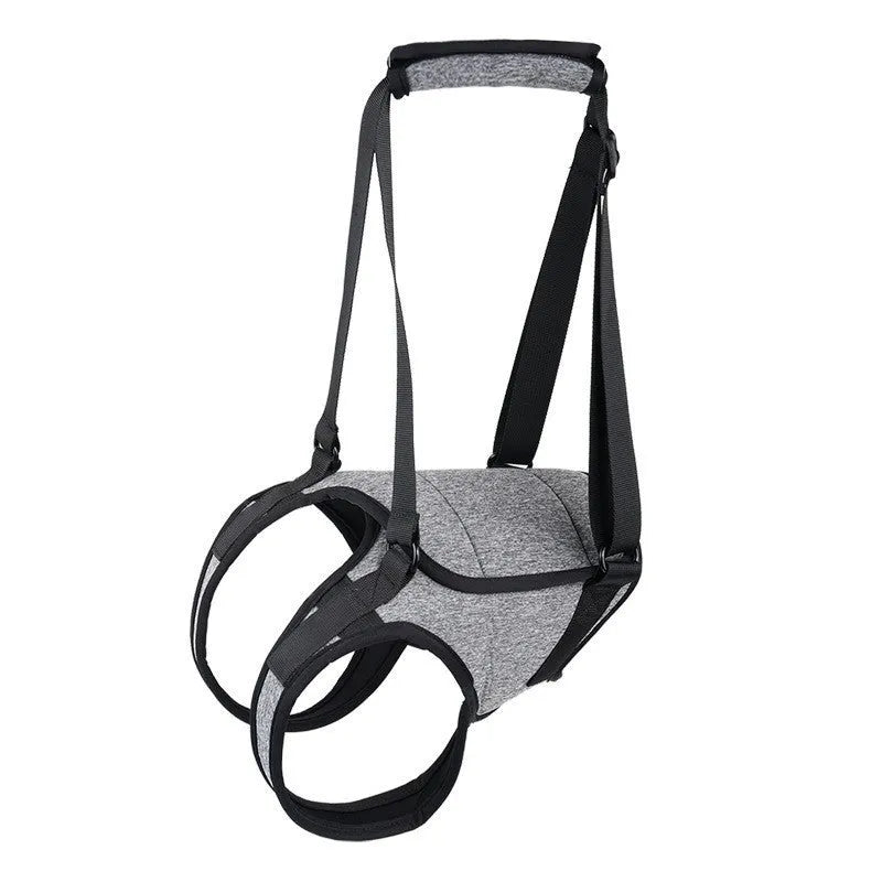 Grey neoprene dog rear leg recovery support belt with adjustable waist and thigh straps.