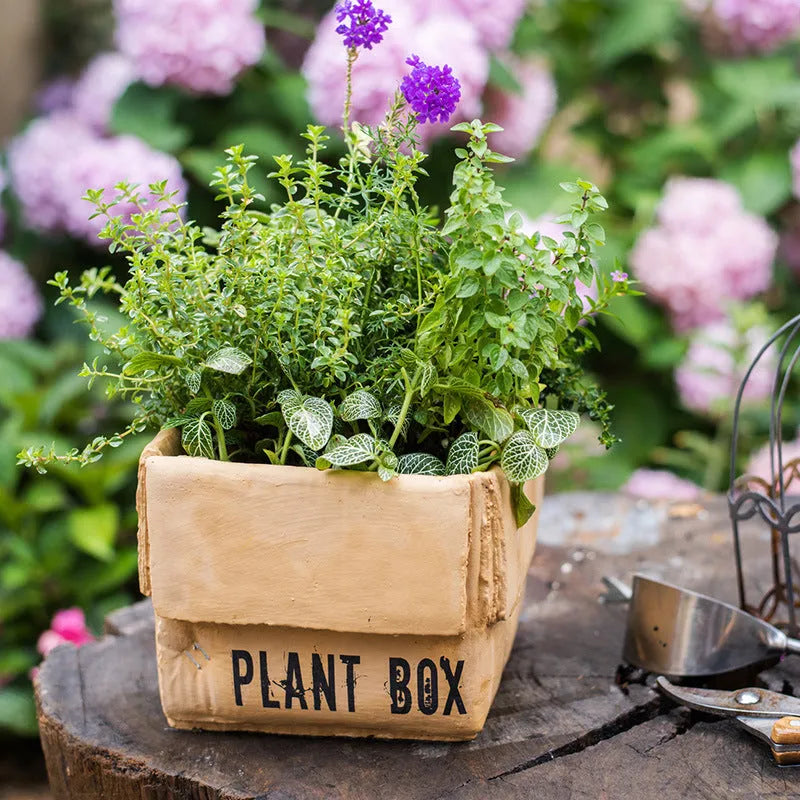 Cement brown paper box style floor planter with a drainage hole, shown in a Nordic indoor setting.