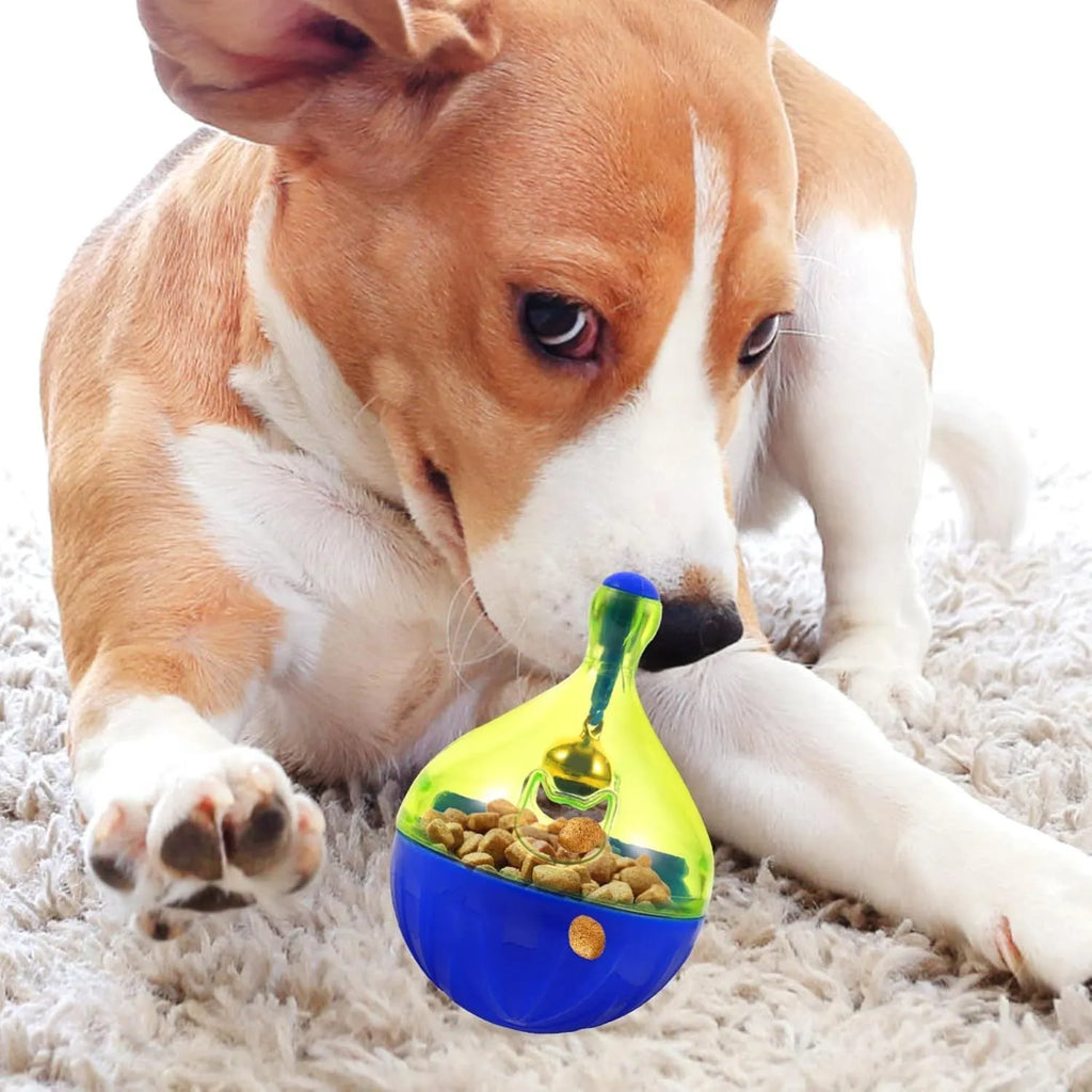 Blue plastic pet treat dispenser tumble ball with treat holes