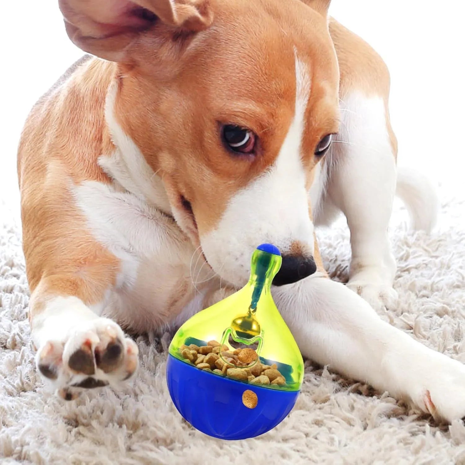 Blue plastic pet treat dispenser tumble ball with treat holes