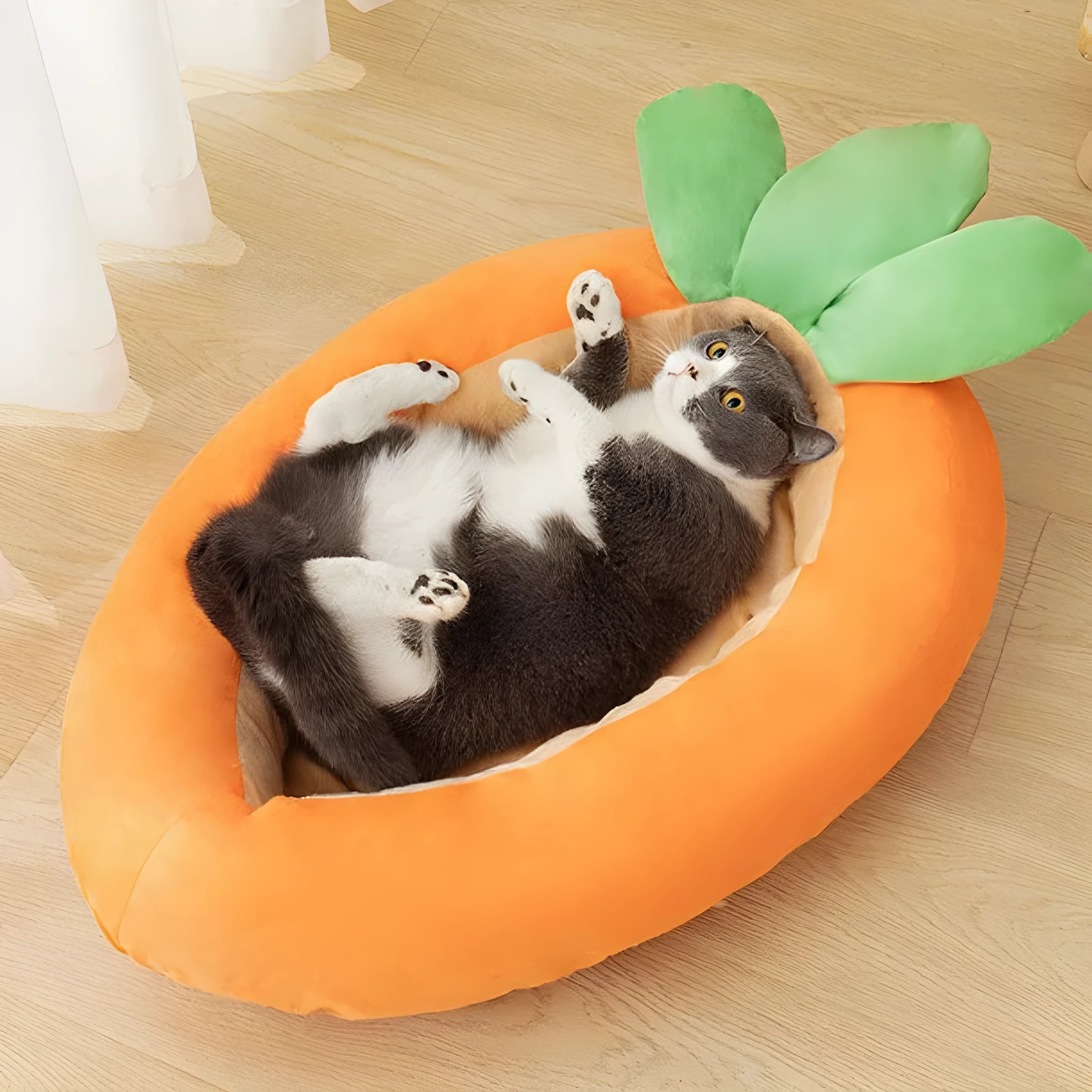 Cartoon carrot pattern double-sided removable washable cloth dog bed in medium and large sizes.