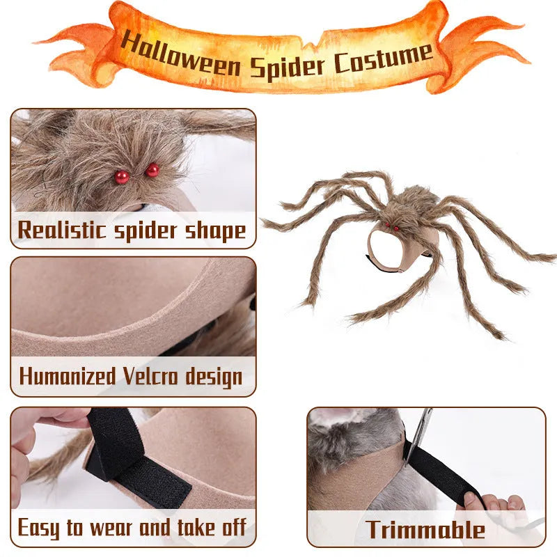 Halloween spider costume for pets in four colour options with three size choices