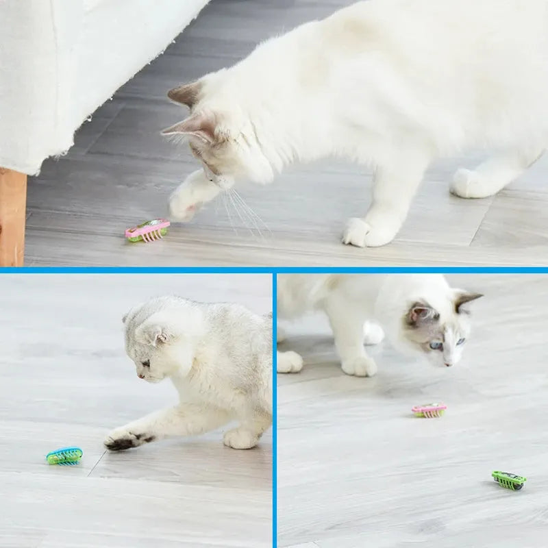 Electric bug cat toy with ladybug design showing angular legs and compact 4.5cm size