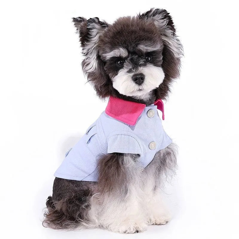 Blue and purple polyester dog vest with traction rope ring for small breeds