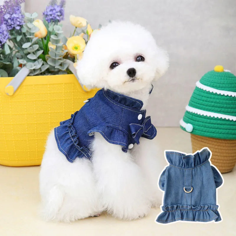 Blue denim pet dog dress with ruffle vest styling and leash hooks at chest and back