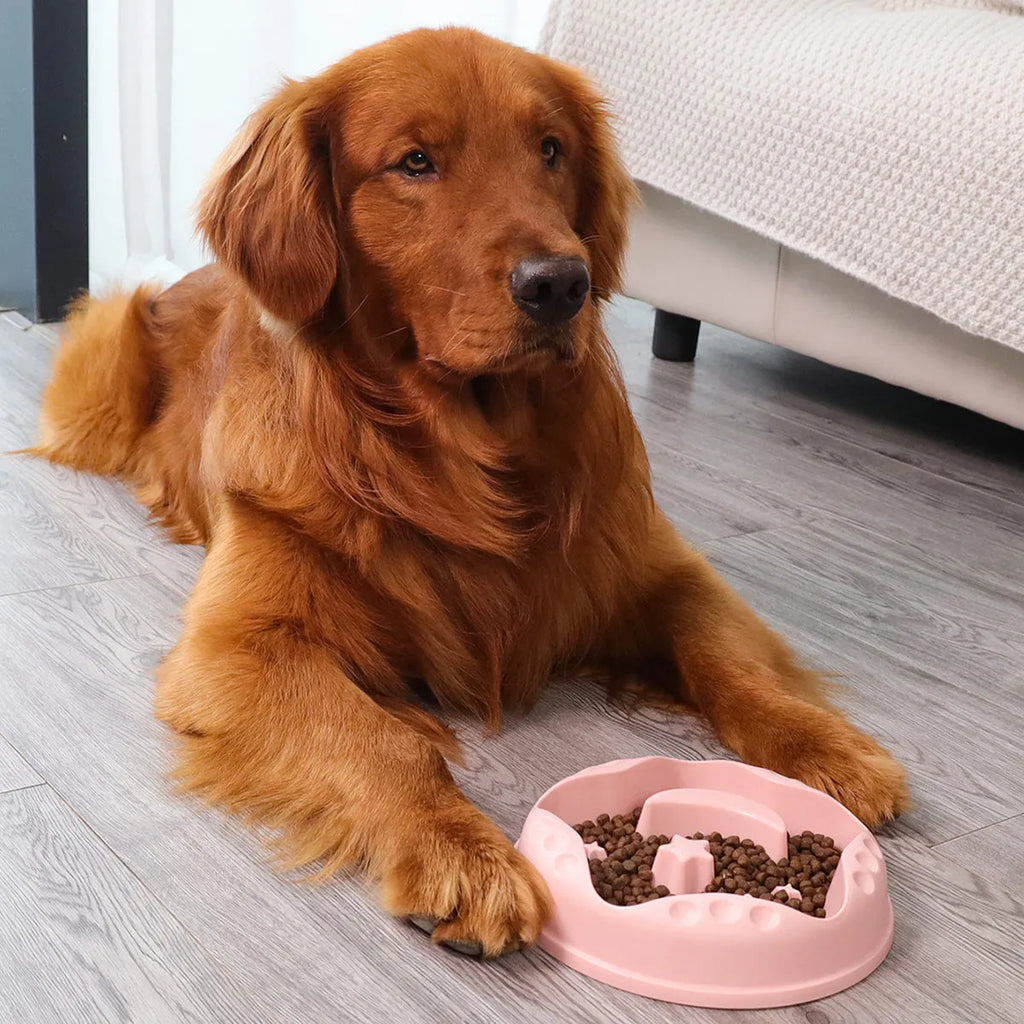 Large slow feeder dog bowl with moon star wings pattern and non-slip base in blue colour
