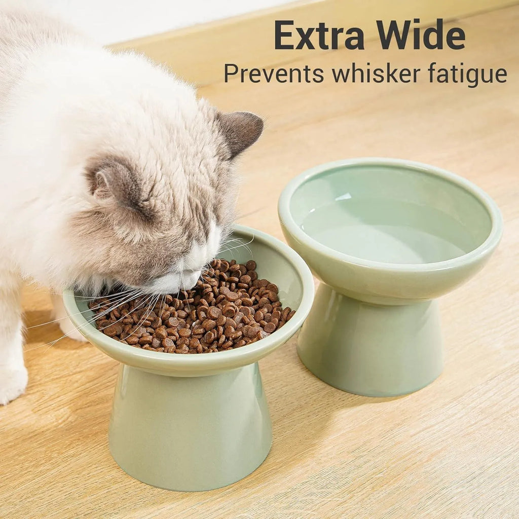 Extra-wide ceramic elevated cat bowl in blue colour showing shallow design