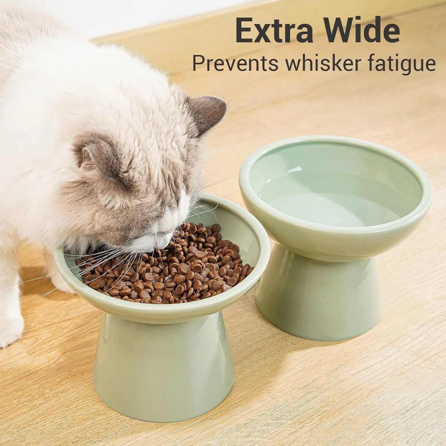 Extra-wide ceramic elevated cat bowl in blue colour showing shallow design