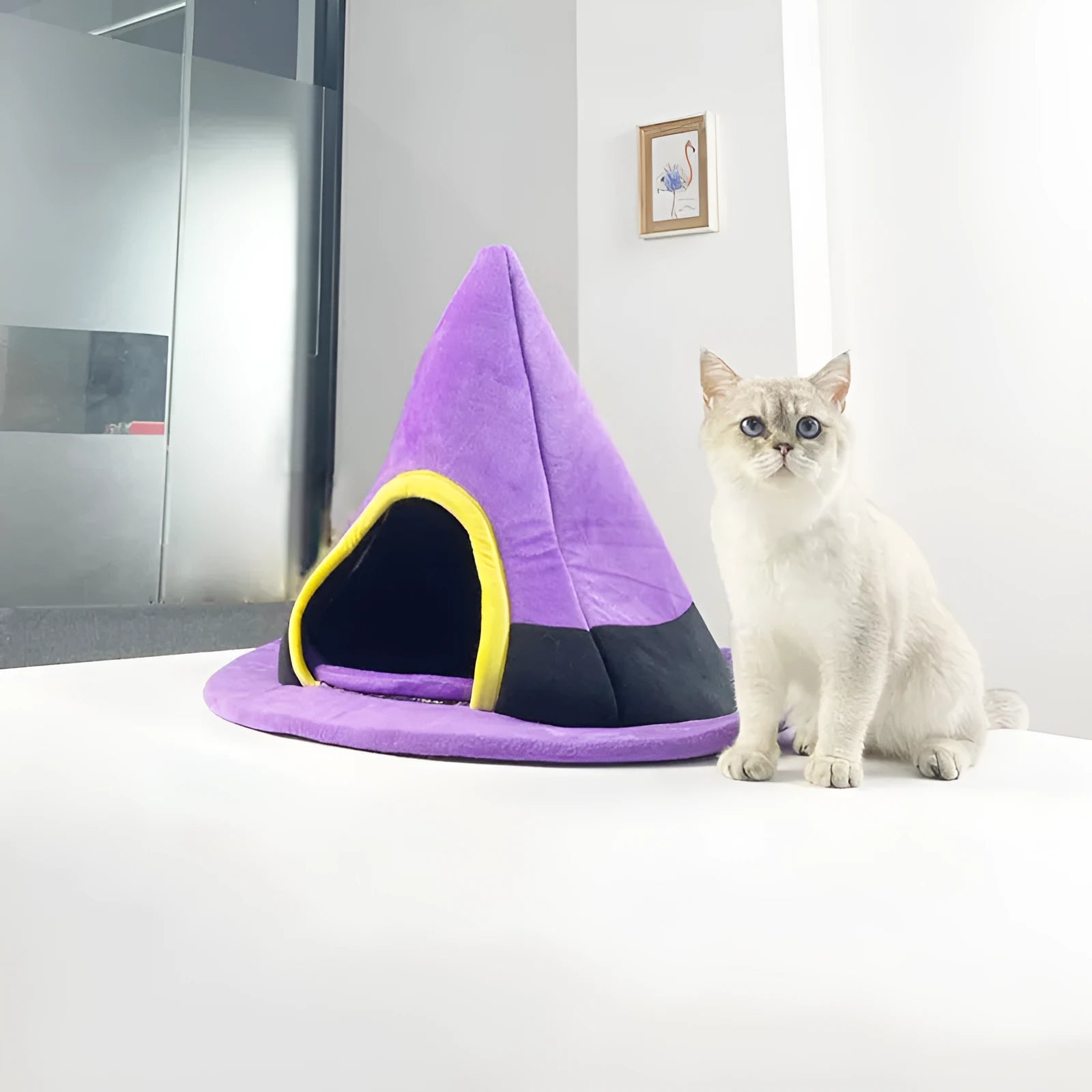 Purple Halloween witch hat shaped cat bed measuring 60 by 45 centimetres