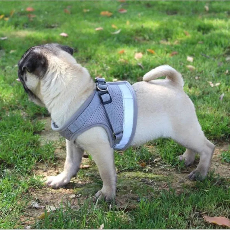 Reflective breathable polyester pet harness with 115cm leash and 1.5cm width, adjustable chest 26-55cm, grey black blue red