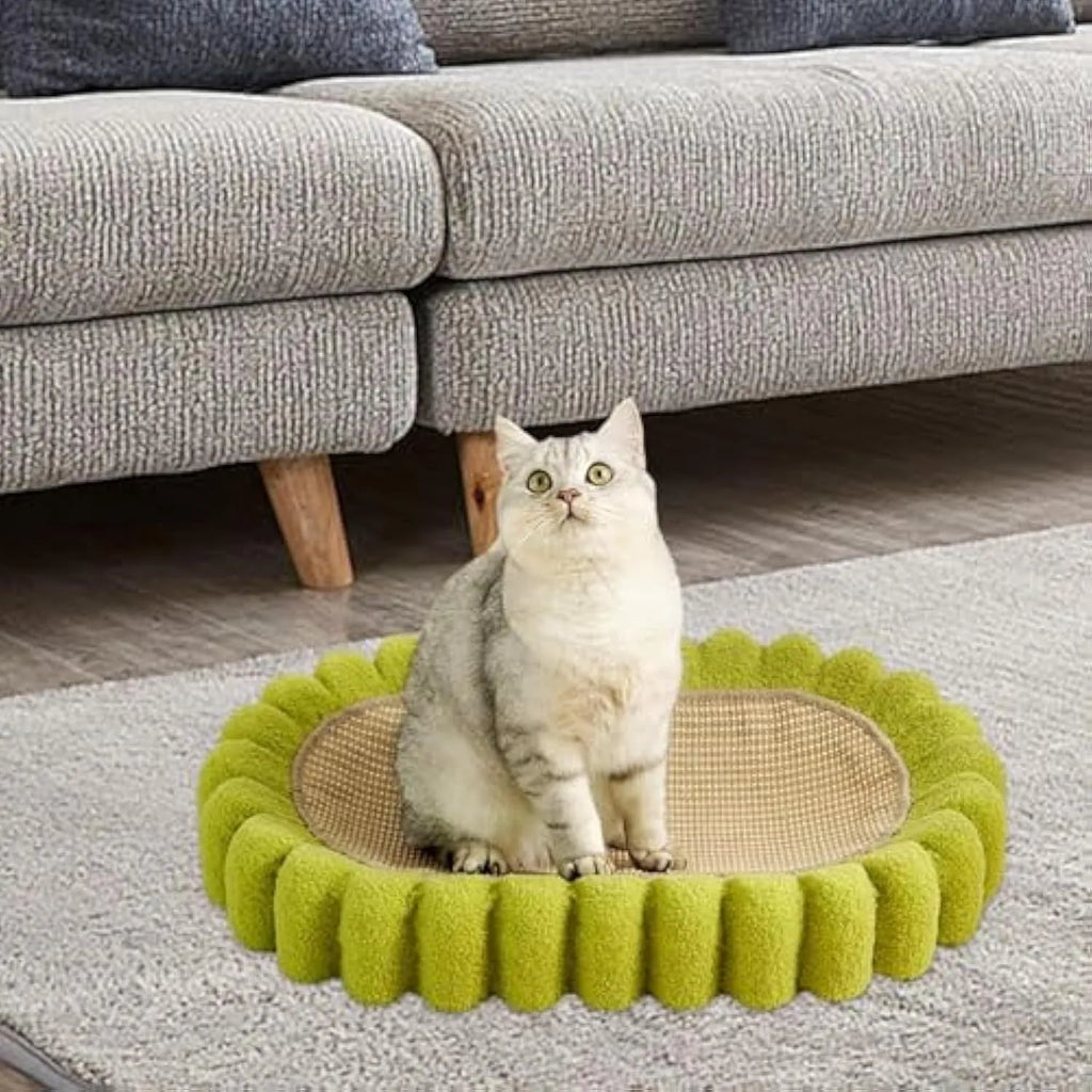 Green oval sisal cat scratching pad serving as a lounging bed with dimensions 650mm by 420mm.