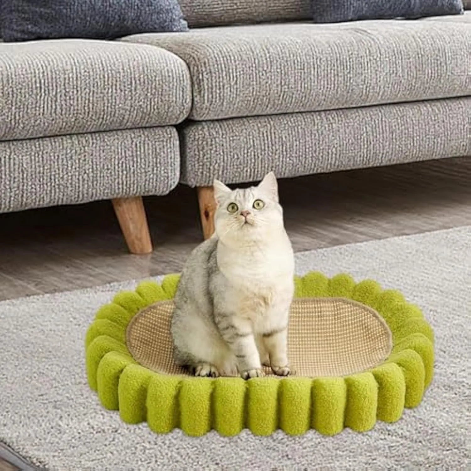 Green oval sisal cat scratching pad serving as a lounging bed with dimensions 650mm by 420mm.