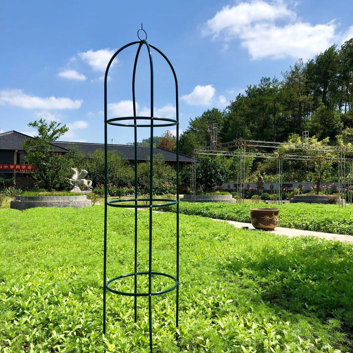 Dark green wrought iron plant climbing frame with lattice design for indoor vines