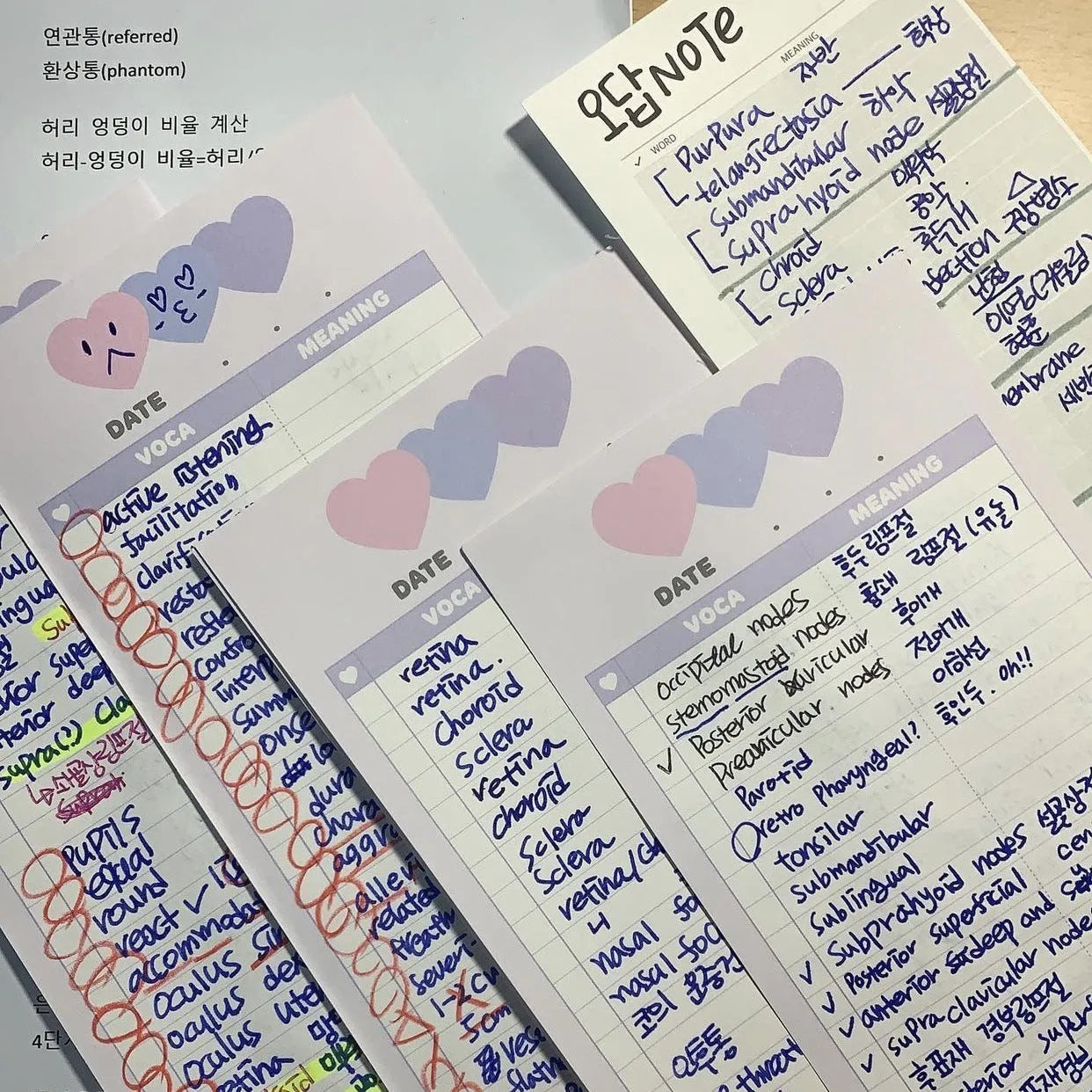 Vertical format English learning notepad with B5 half-size pages in choice of pink, purple or blue covers
