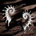 Alloy conch stud earrings with exaggerated three-dimensional matte design and electroplated finish
