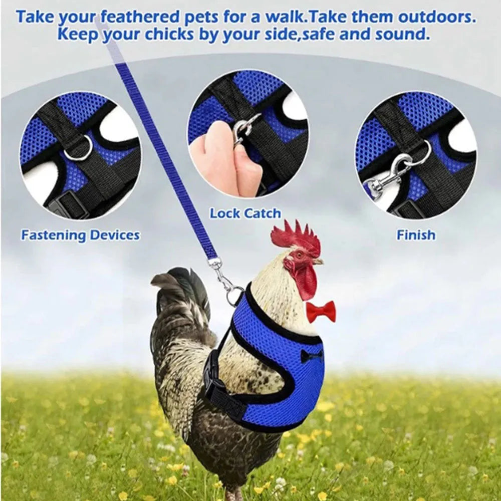 Adjustable chicken harness vest set with decorative bow collar and 110cm traction rope