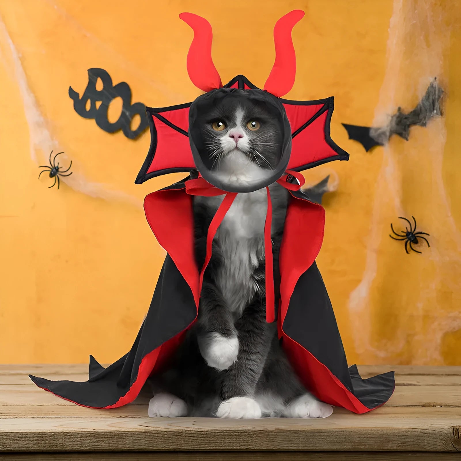Black polyester vampire cloak and hat Halloween costume for a cat or dog