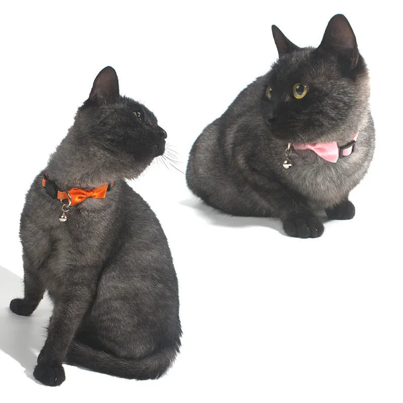 Striped nylon bow cat collar with bell in fluorescent green colour option