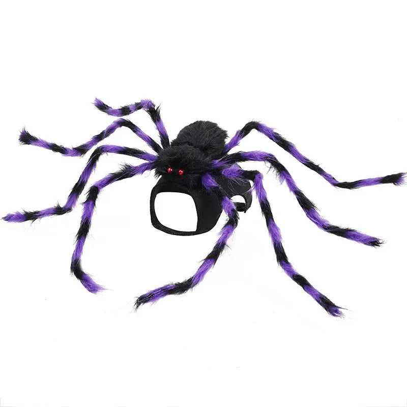 Halloween spider costume for pets in four colour options with three size choices