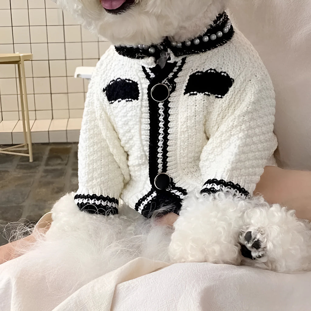 Korean style white dog sweater with pearl collar on small puppy showing princess design details