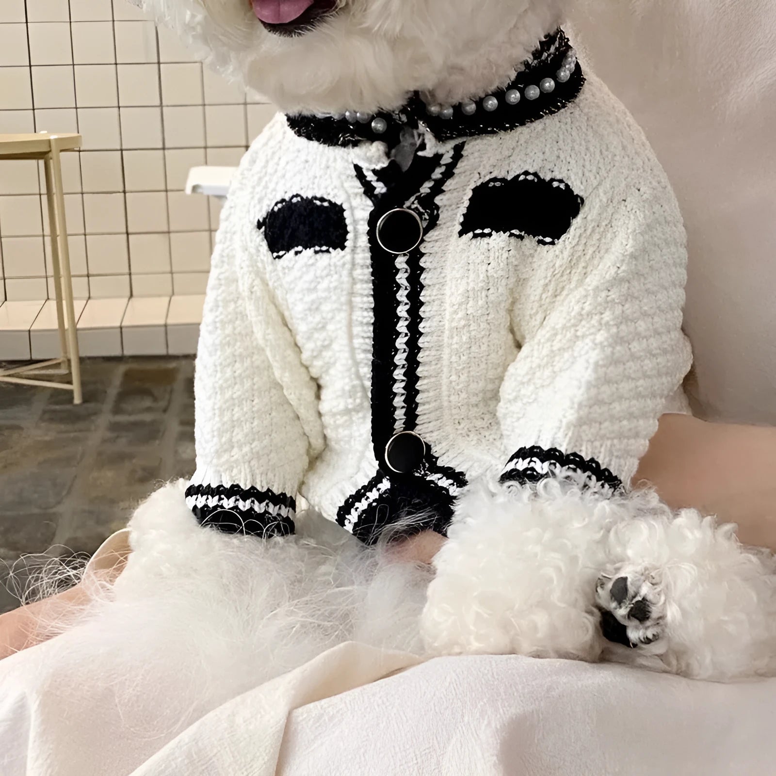 Korean style white dog sweater with pearl collar on small puppy showing princess design details