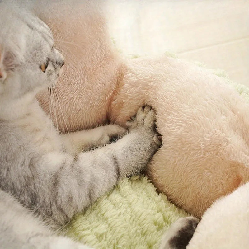 Green or purple cactus-shaped soft pet kennel for cats and dogs, shown in large and small size options.