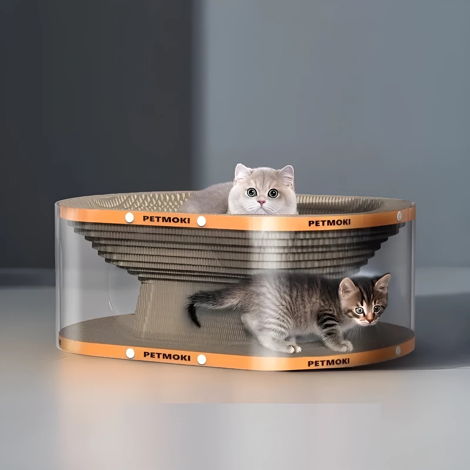 White transparent cat scratch board and tunnel nest toy measuring 58x45x23cm