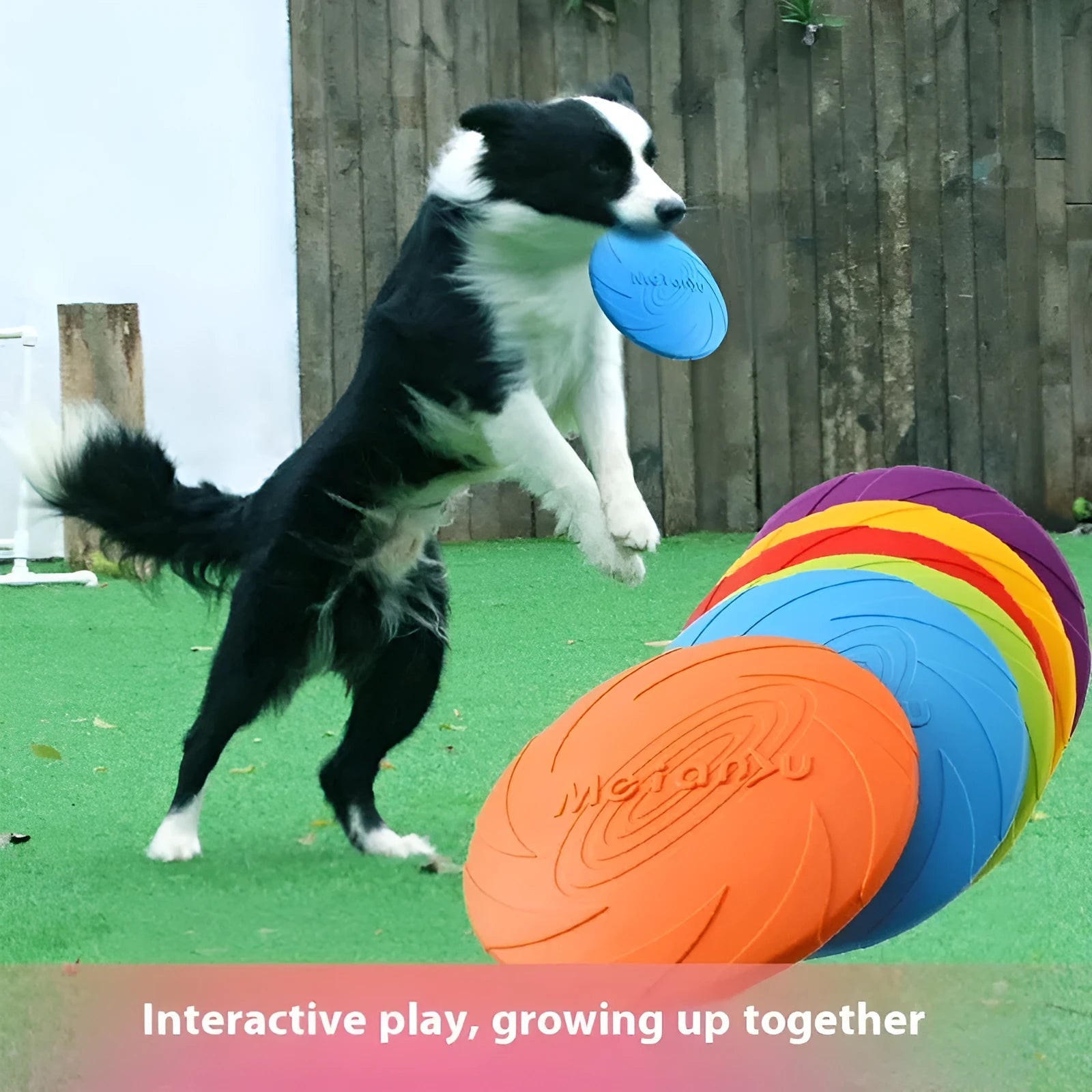 Soft rubber dog frisbee flying disc toy for outdoor fetch in blue, green, or red.
