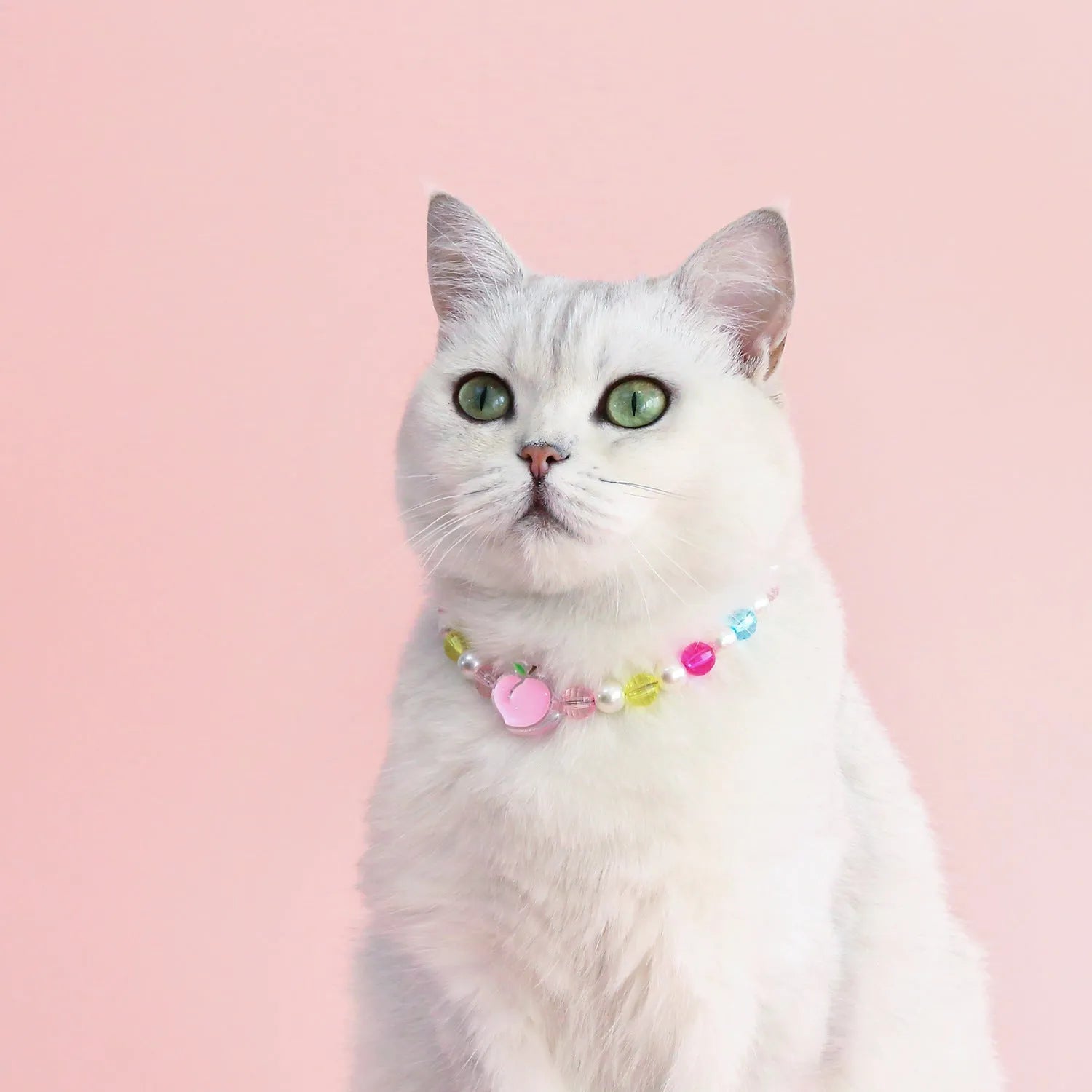 Colourful plastic bead cat necklace with adjustable sizing in peach, rainbow or small flower patterns