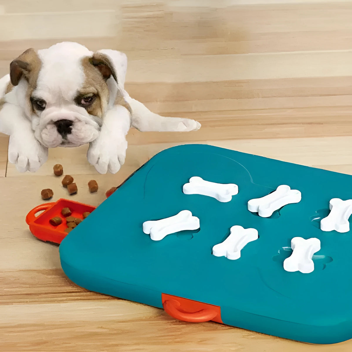 Blue plastic pet puzzle toy with casino treasure hunt design, 100g, for dogs and cats